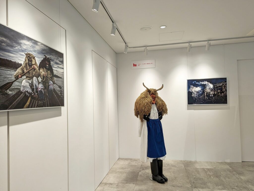 Hungarian Cultural Institute Tokyo inside